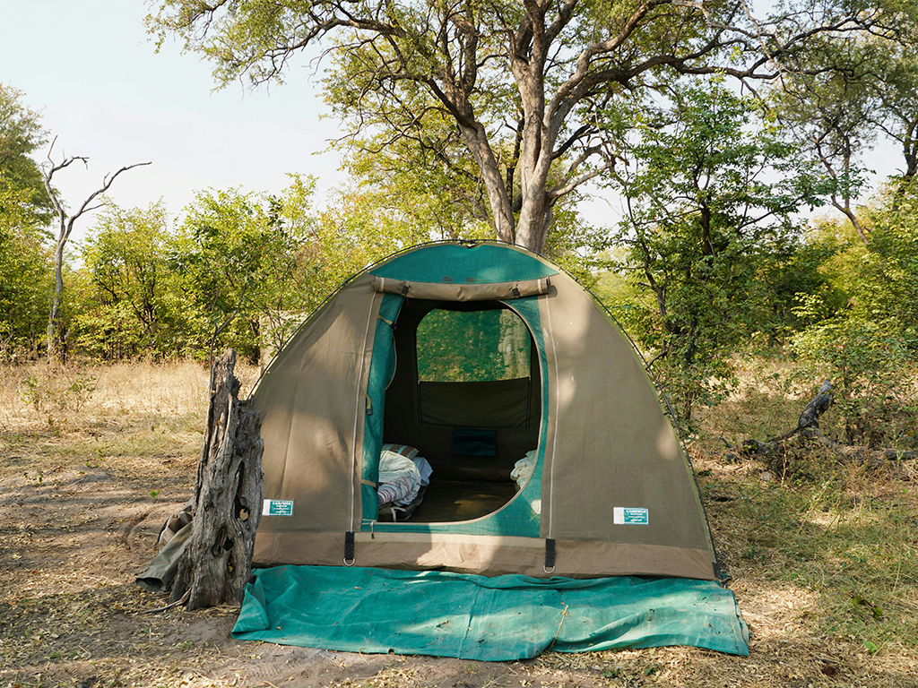 Safari Experience
