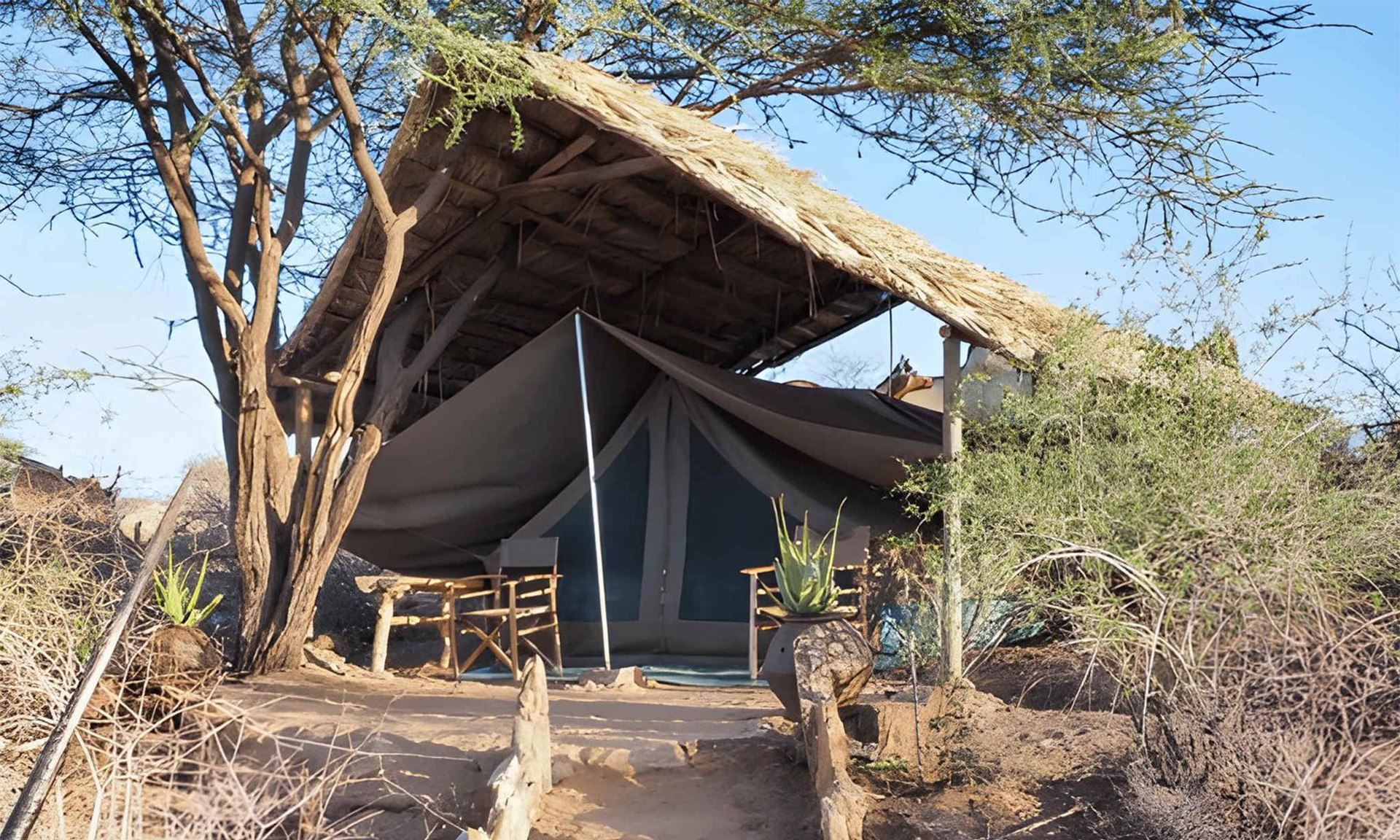Luxury Camp