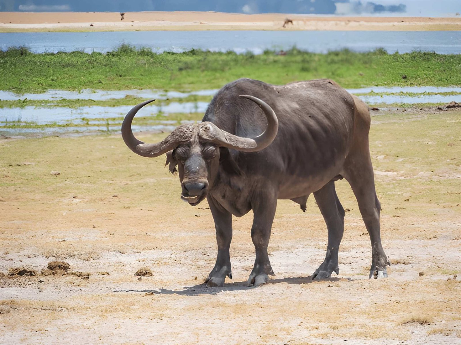 Amboseli National Park