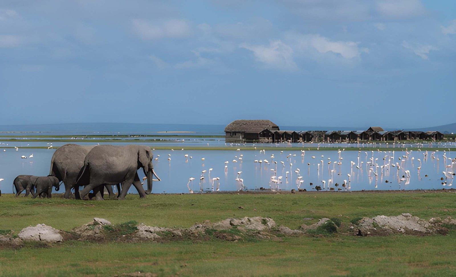 Kateki Mara Safaris 3 Days Amboseli Budget Safari | Best Price Kenya