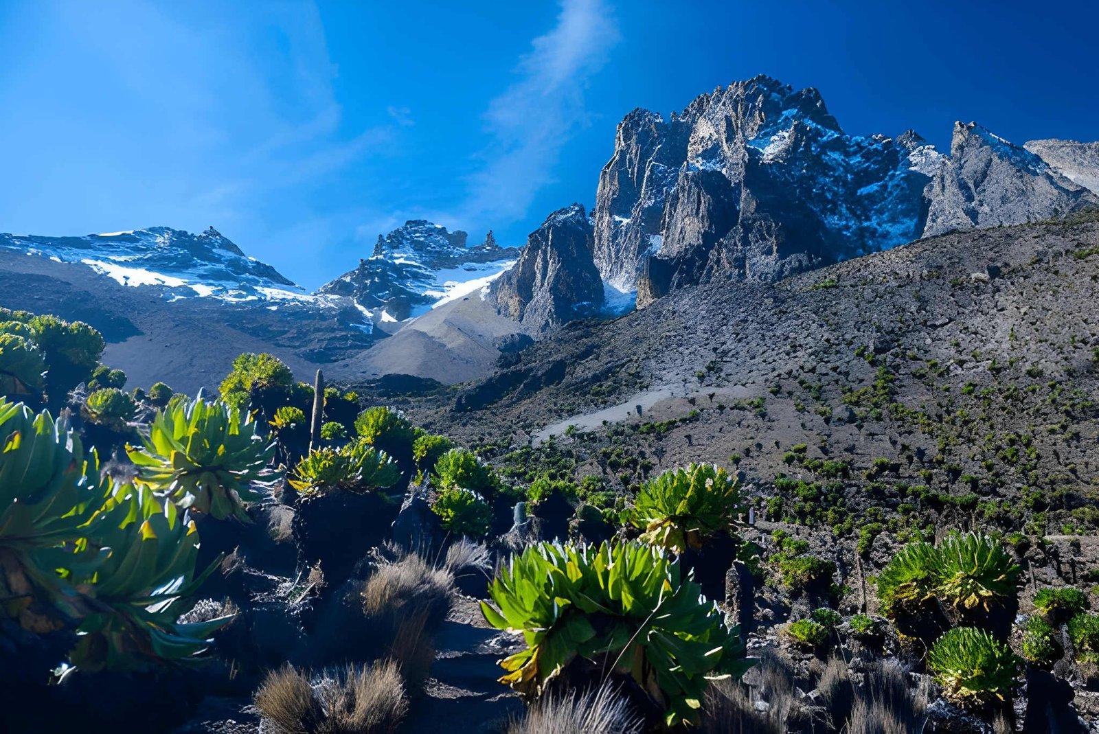 Kateki Mara Safaris, Luxury Tours  4 Days Mt Kenya Climb | Sirimon Route Trek Kenya