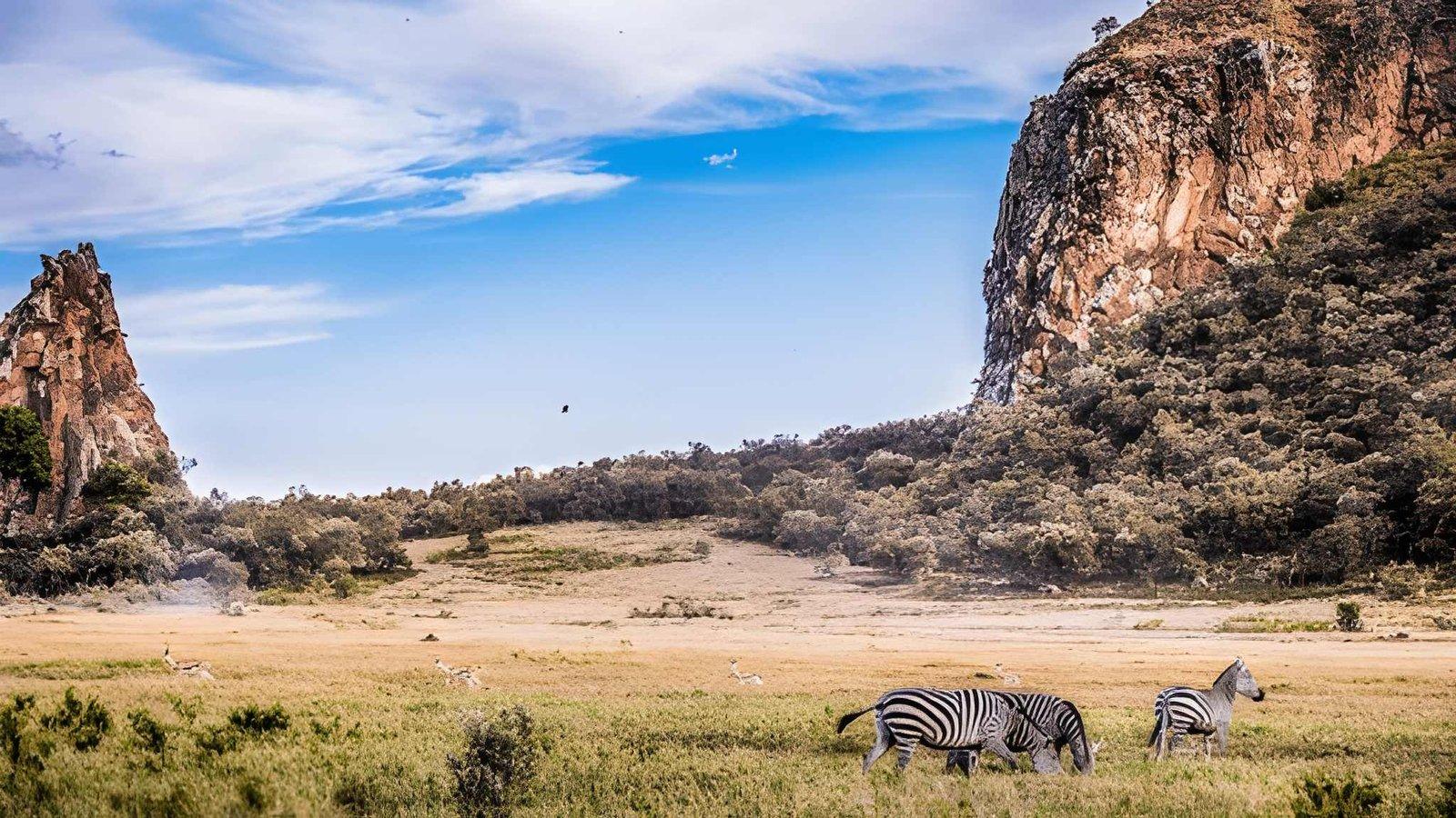 Kateki Mara Safaris 5 Days Kenya Safari | Mara, Nakuru, Naivasha Tour