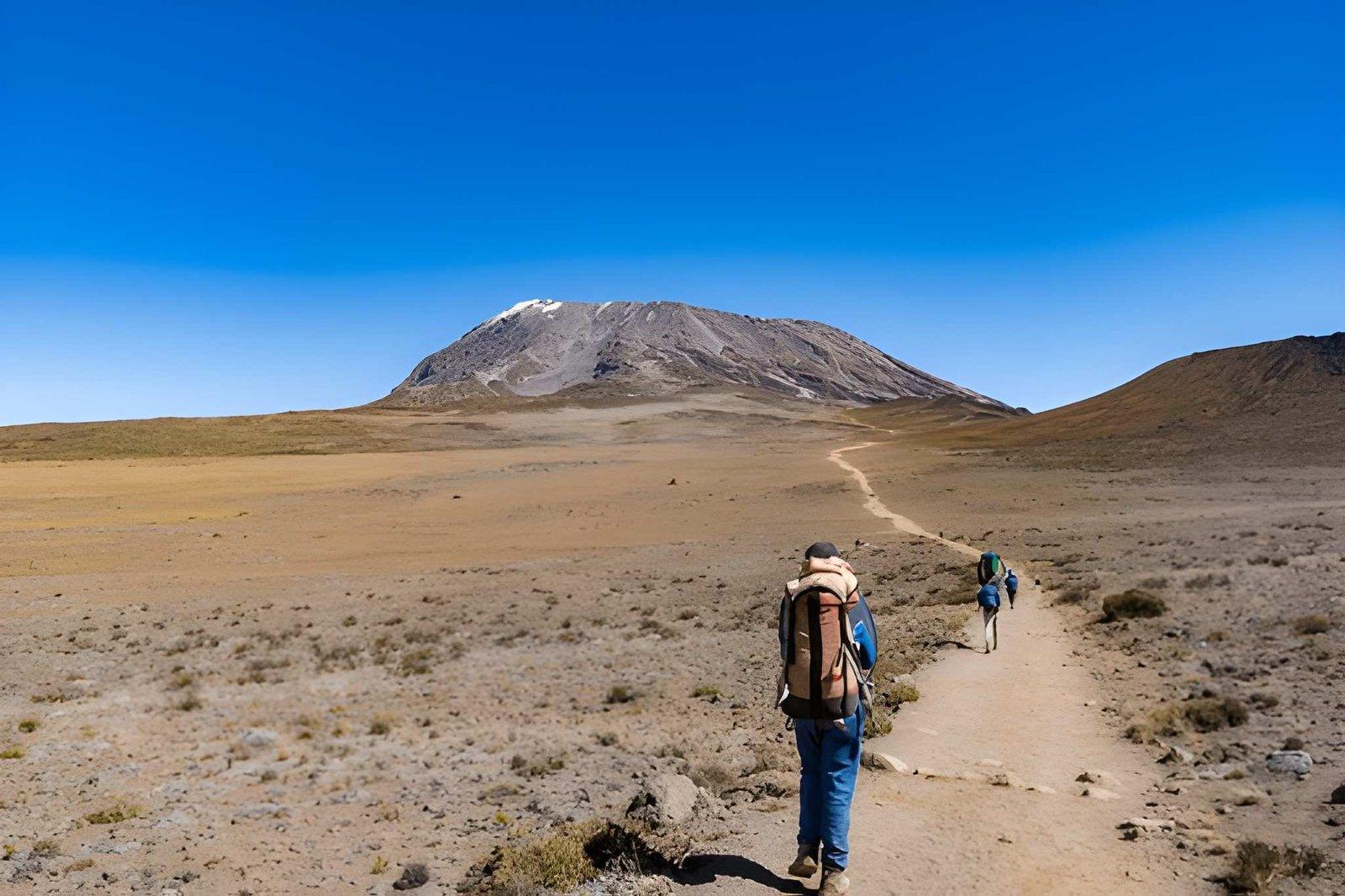 Kateki Mara Safaris, Luxury Tours  8 Days Kilimanjaro Climb Umbwe Route | Tough Trek