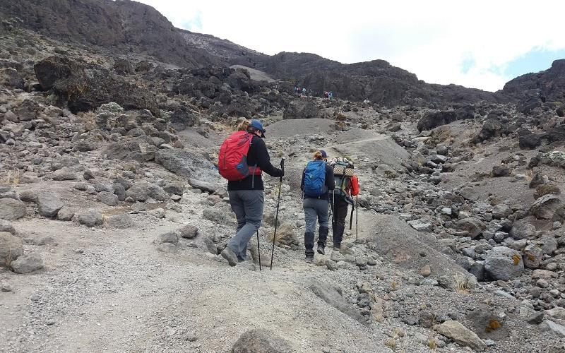 Kateki Mara Safaris, Luxury Tours  8 Days Kilimanjaro Climb Umbwe Route | Tough Trek