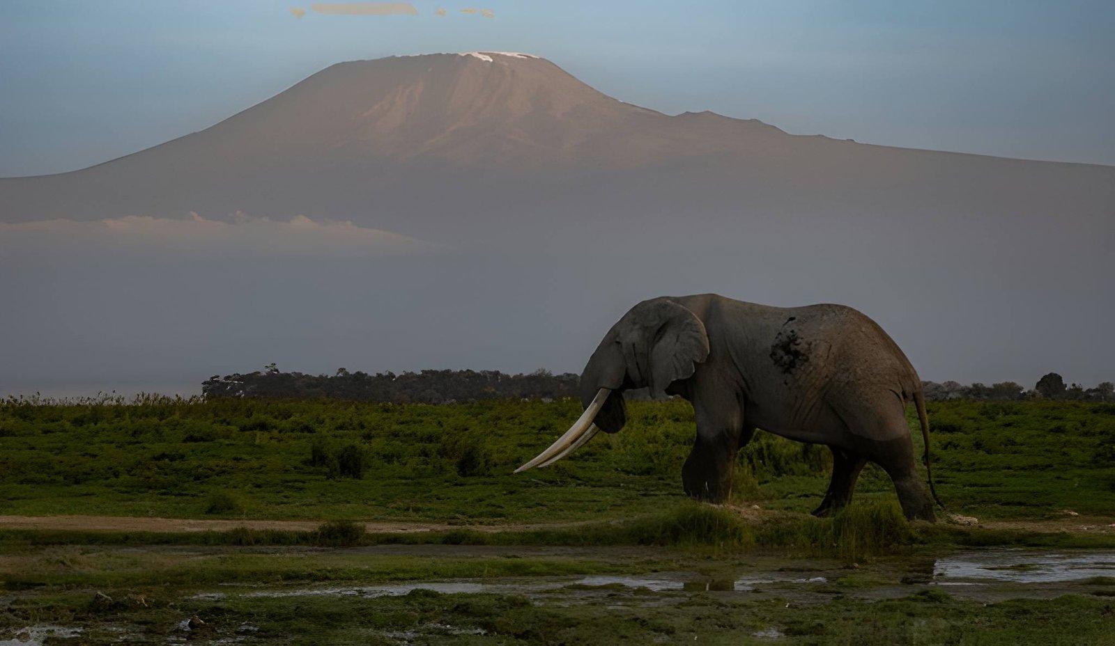 Kateki Mara Safaris Soft drinks and alcoholic beverages  Tips and gratuities  Personal expenses or optional Maasai village visits  International flights and travel insurance
